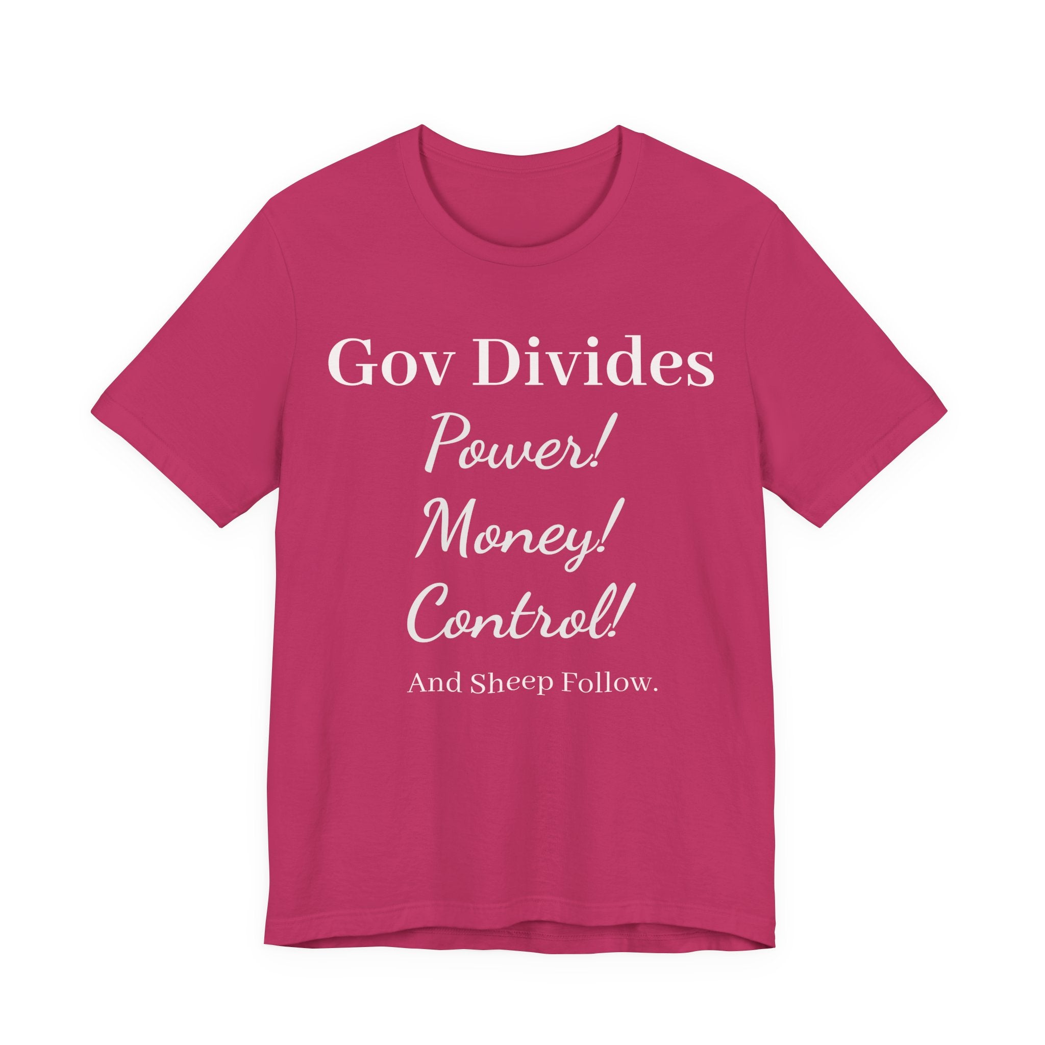 Gov Divides Tee — Pastel Political Statement T-Shirt
