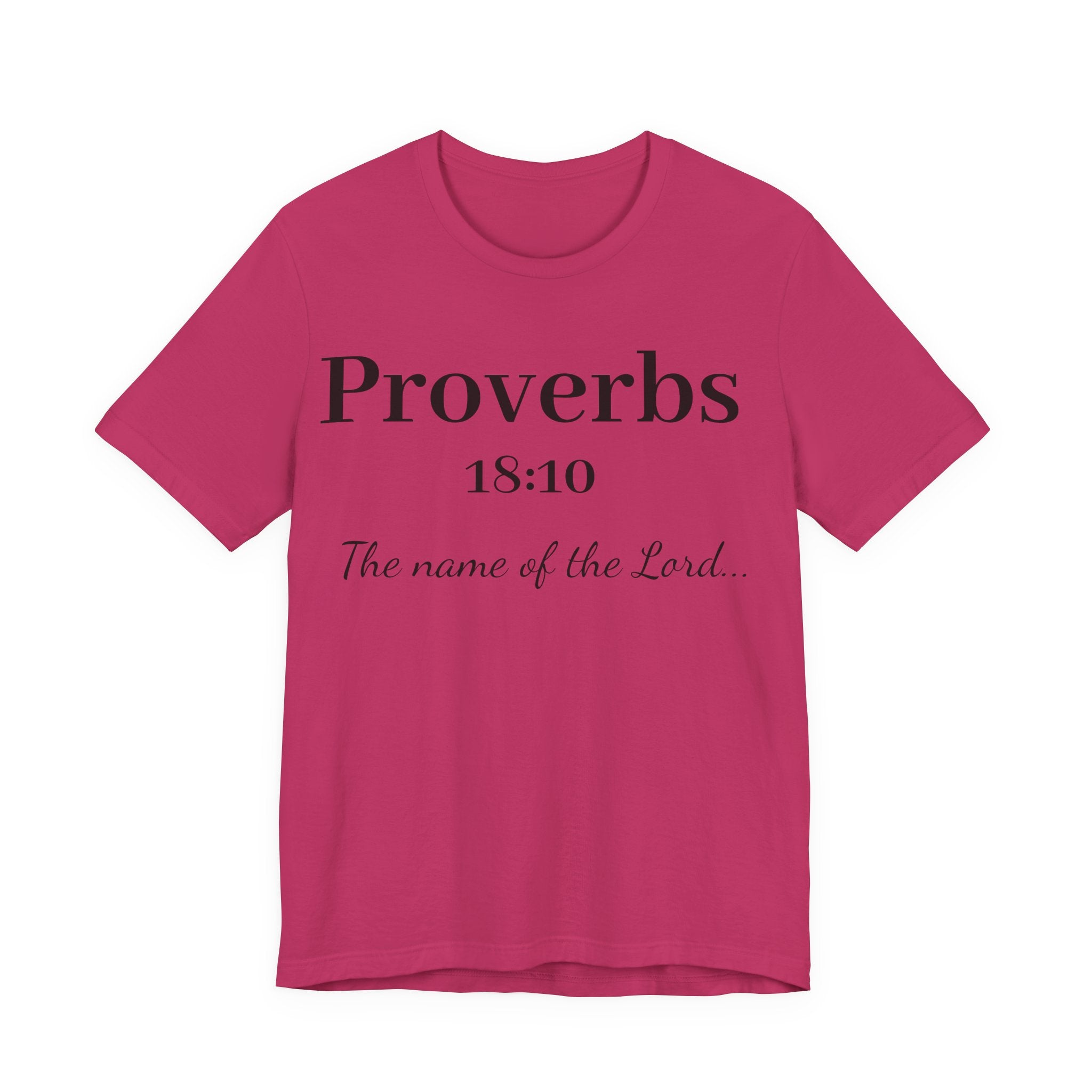 Proverbs 18:10 T-Shirt — "The Name of the Lord" Christian Faith Tee