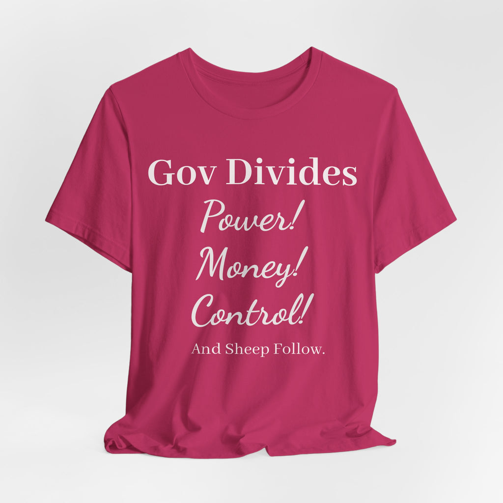 Gov Divides Tee — Pastel Political Statement T-Shirt