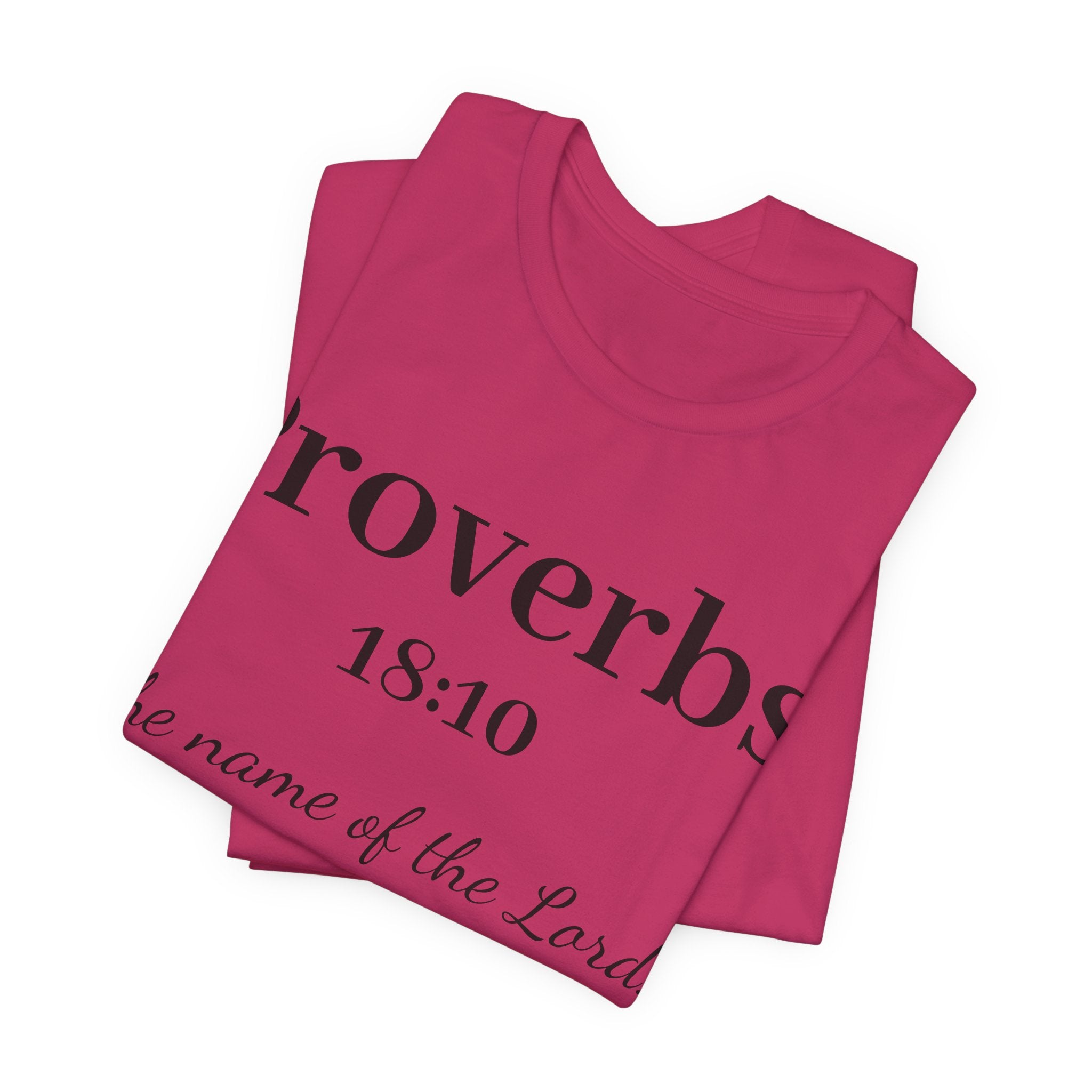 Proverbs 18:10 T-Shirt — "The Name of the Lord" Christian Faith Tee