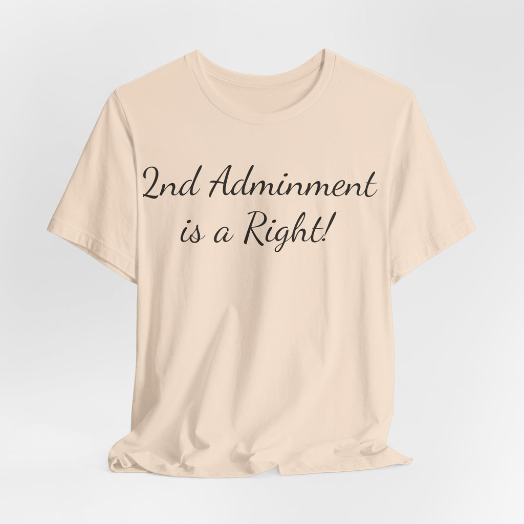 2nd Amendment Is a Right T-Shirt — Pro-Gun Rights Patriotic Tee