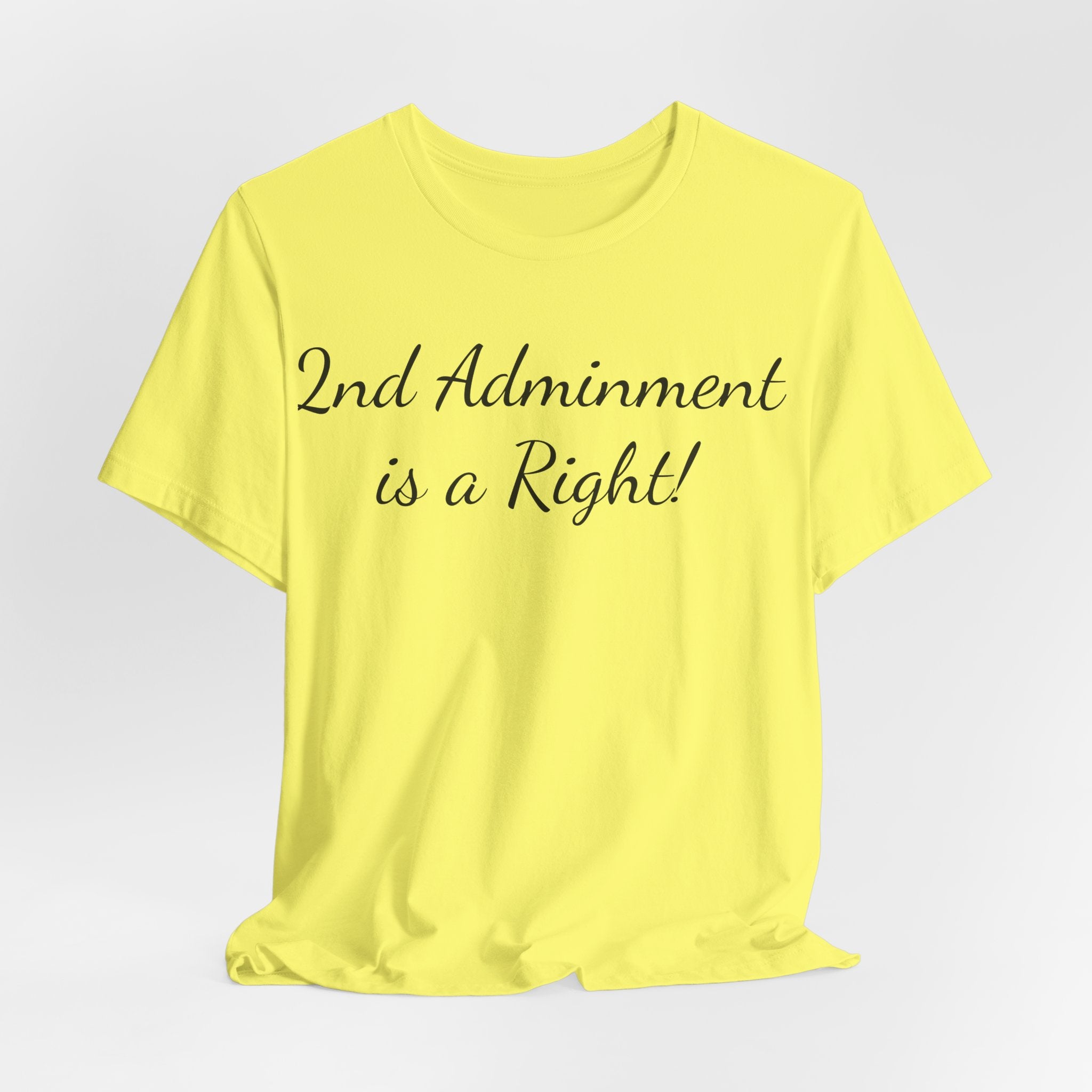 2nd Amendment Is a Right T-Shirt — Pro-Gun Rights Patriotic Tee