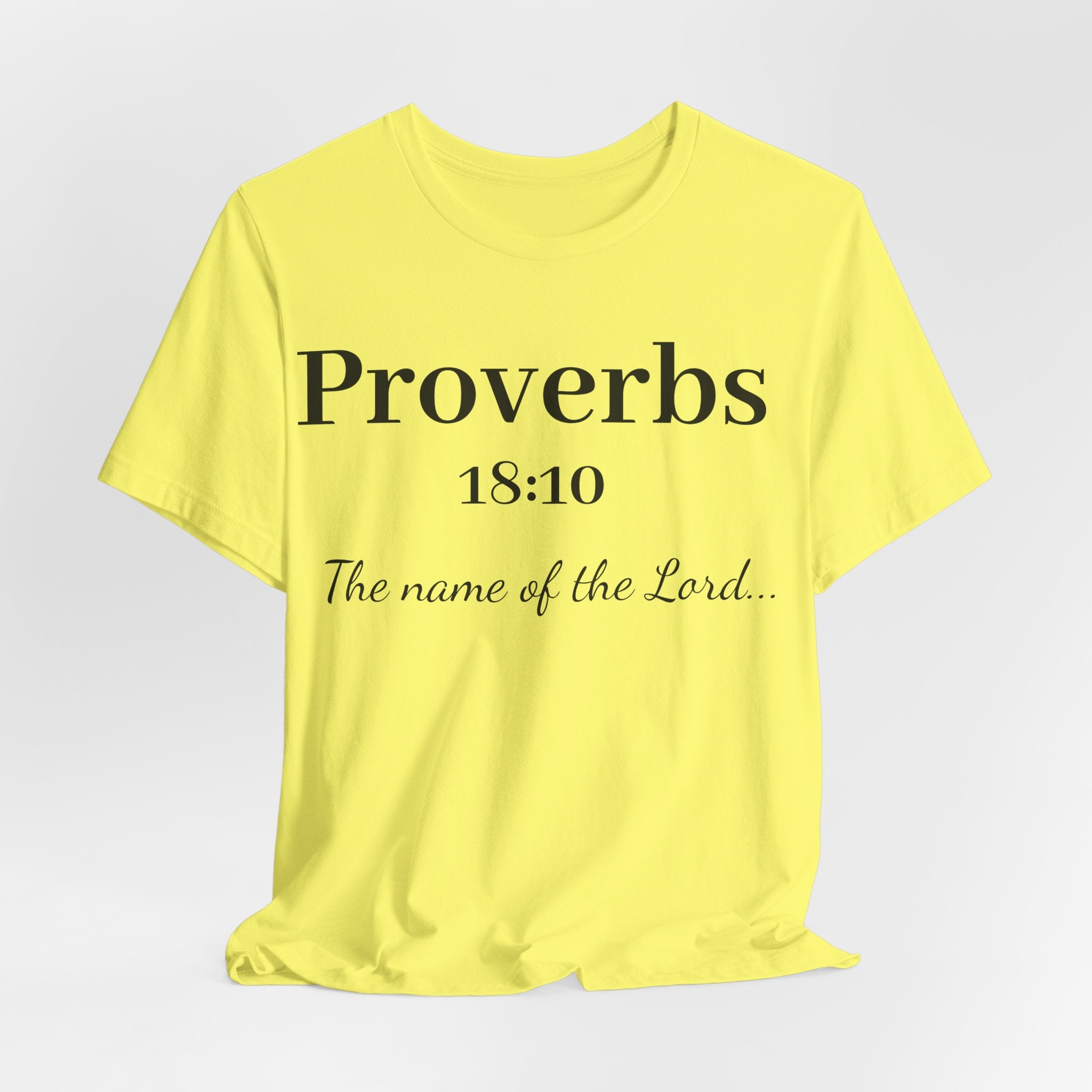 Proverbs 18:10 T-Shirt — "The Name of the Lord" Christian Faith Tee